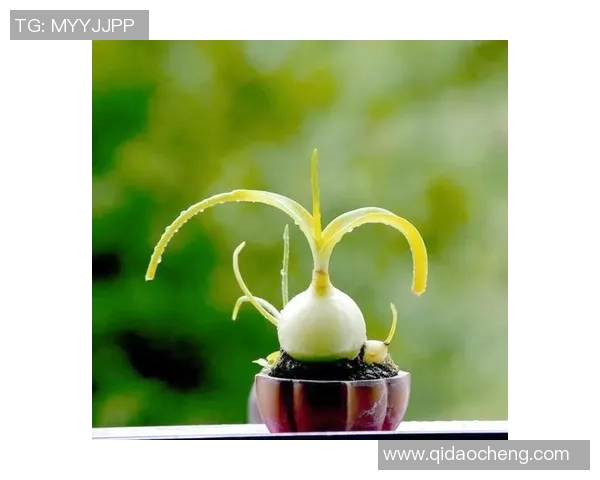 足球明星少年具备的独特特征与成功之路的深度剖析